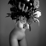 Fleur_carnivore__small__f_card