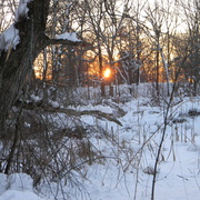 Beaverbrooksunset5_card