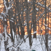 Sunsetbeaverbrook1_card