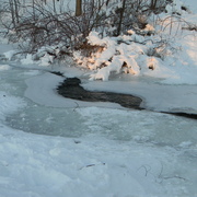 Beaverbrookfrozen2_card