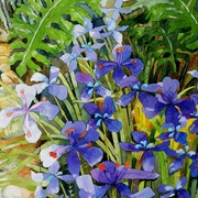 Lilies_ii_card