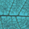 Cracks_thumb