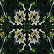 Easter_copy_card