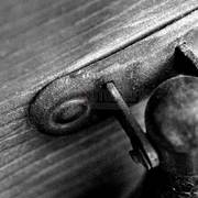 Little-detail-_part-1__card