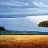 African_skies_no_flash_1__edited_thumb