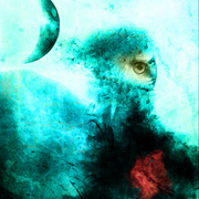 Dlaczego_card