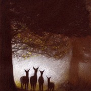 Deers_card