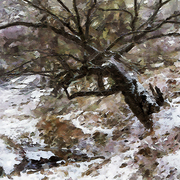 Bitter_creek_card