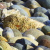 Img_0032_thumb