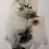 Winter_vase_thumb