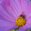 Img_1984_thumb