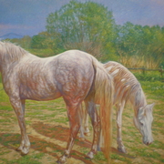 Pa080034_card