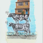 House_card