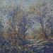 Evening_forest_square