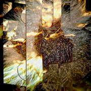 Mg16_card