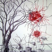 Metamorfose_de_uma_rosa___metamorphosis_of_a_rose___2006_-_9_card