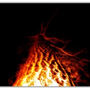 Untitled-1ii_card