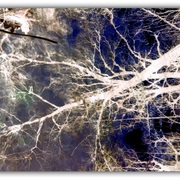 Untitled-1_card