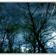 Untitled-1_card
