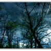 Untitled-1_thumb