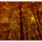 Untitled-1_card
