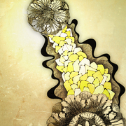 Flower_6_card
