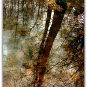 Untitled-1_card