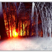 Untitled-1_card