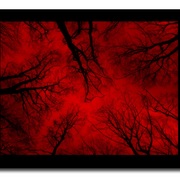 Untitled-2__2__card