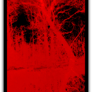 Untitled-1_card
