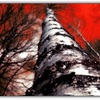 Untitled-1_thumb
