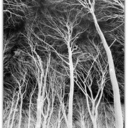 Untitled-1_card