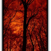 Untitled-1_card