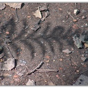 Untitled-1i_card