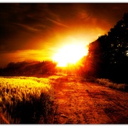 Untitled-1_card