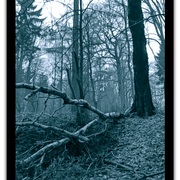 Untitled-1_card