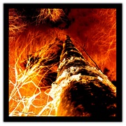 Untitled-1i_card