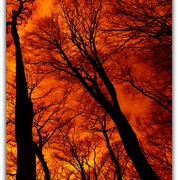 Untitled-1_card