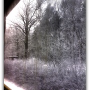 Untitled-1i_card