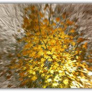 Untitled-1_card