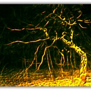 Untitled-1i_card
