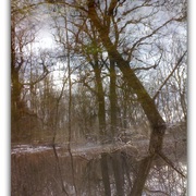 Untitled-1_card