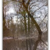 Untitled-1_thumb