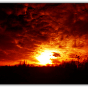 Untitled-1_card