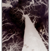 Untitled-1i_card