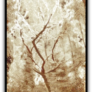 Untitled-1_card