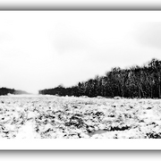 Untitled-1_card