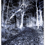 Untitled-1_card