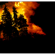 Untitled-1_card