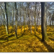 Untitled-1_card